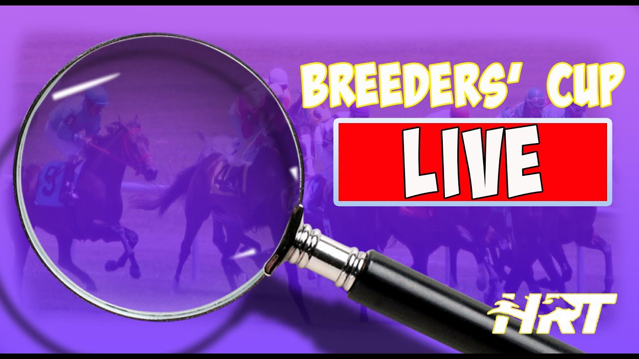 Horse Racing Today Breeders Cup LIVE Saturday, November 5, 2022
