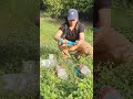 Amazing Idea to trick Free energy water pump #shorts #diy #home #Hidi #Tamil #Telugu #Tech #Desi