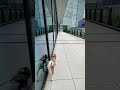 天空の散歩場所❤️カワイイららちゃん
