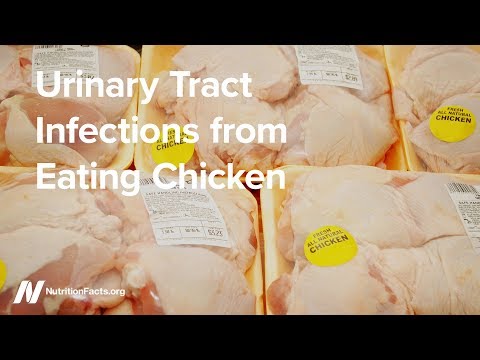 Urinary Tract Infections from Eating Chicken