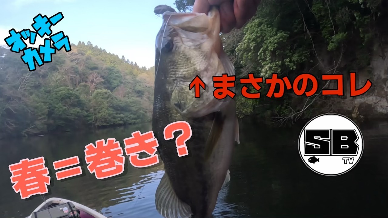 Bass Fishing] Spring bass aren't biting on retrieves. The Cover