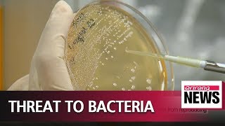 Korean researchers reveal how antibiotics cause mutations in instestinal microorganisms
