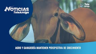 Agro y ganadería mantienen perspectiva de crecimiento - Noticias Teleamiga