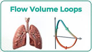 7. Flow–Volume Loops 🫁⚡ | Obstructive vs Restrictive Patterns & Upper Airway Lesions | USMLE Step 1