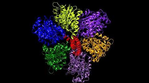 Conformational changes of ATP synthase