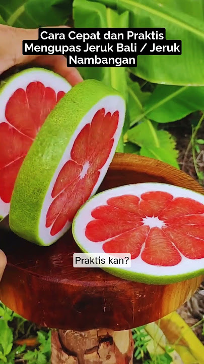 🍊 Selama Ini Ternyata Kita Salah Kupas Jeruk Bali! Coba Cara Ini, Nggak Sampai 1 Menit! #dapuribu