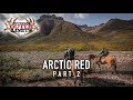 DALL SHEEP HUNTING in the NWT - Arctic Red Part 2