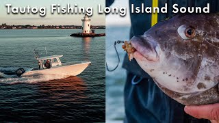 Tautog Fishing in Long Island Sound | S21 E08
