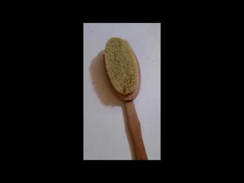 Video Bath Brush With Extra Long Handle