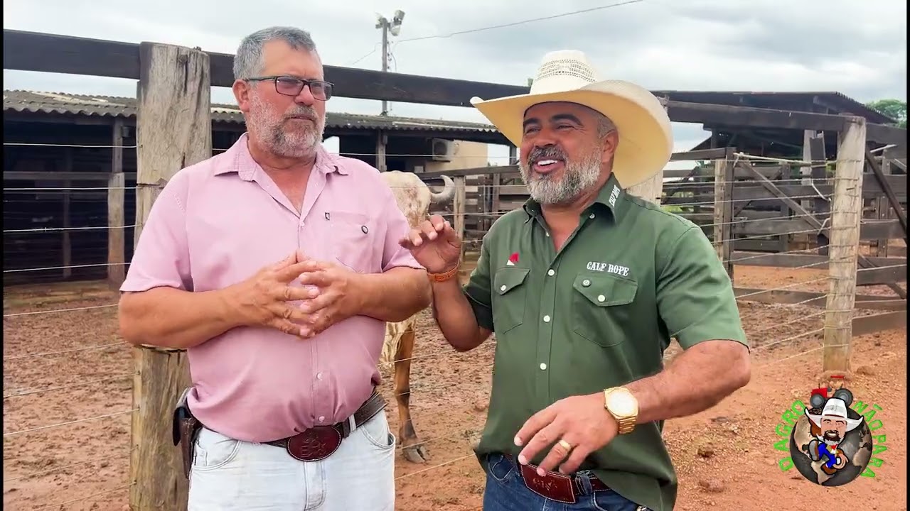 Genética Leiteira Sem Enrolação: Reinaldo de Volta à DSIL Fazenda Santo Antônio