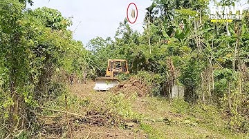 Excellent Work Caterpillar D6R XL Bulldozer Operator Works Cleaning Farm Roads