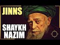 Shaykh Nazim q -- Jinn Kings - سيدنا سلطان هزاز  Muslim Jinn Sultan - Malik Hazzaz