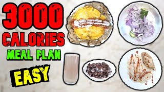 The EASIEST Way To Eat 3000 Calories In A Day To Gain Weight (\& Build Muscle)