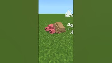 NEW Headcrab addon in Minecraft Bedrock Half Life