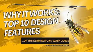 Top 10 reasons why this wasp nest treatment works (2024)