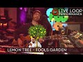 Lemon Tree | Fools Garden
