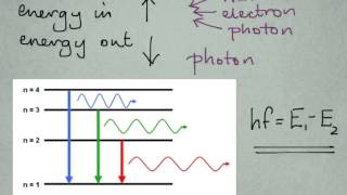 P12 13 energy levels in atoms