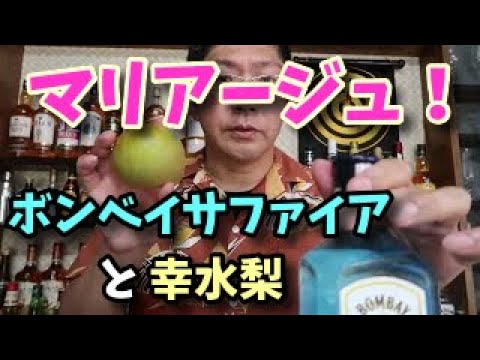 酒場うろちょろ、飲み方紹介！幸水とボンベイサファイアのマリアージュ！