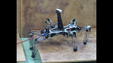 Efficient Modeling and Evaluation of Constraints in Path Planning for Multi-legged Walking Robots
