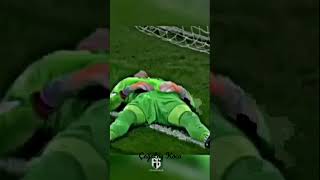 Muslera Sad Edit Görüntü Kalitesi Düşük Oldu Kusura Bakmayın