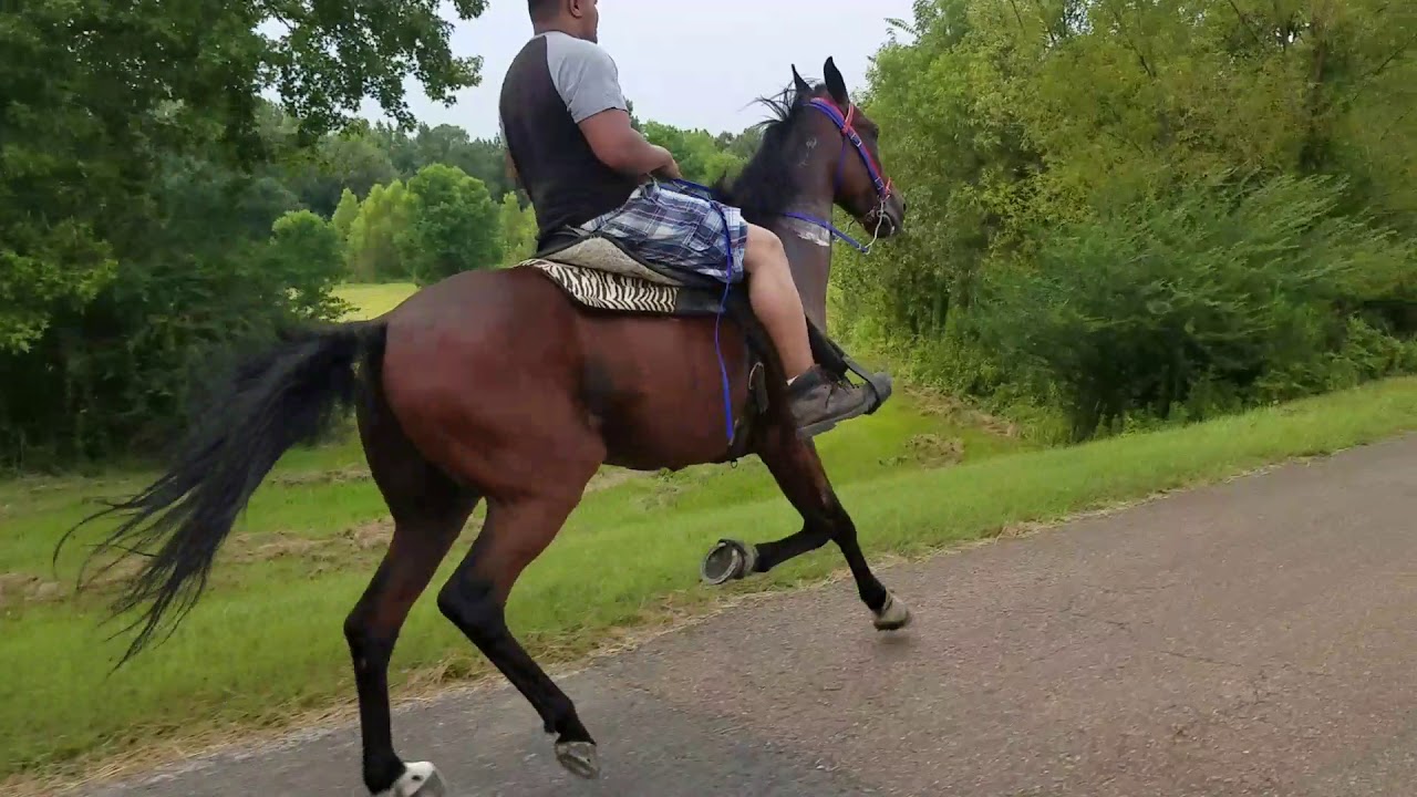 Single footing Cane Cutter YouTube