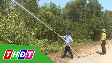 Đồng Tháp: Tăng cường công tác PCCC rừng trong mùa khô | THDT