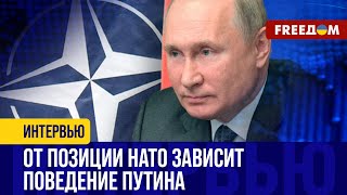 Отношения Украина - НАТО: камни ПРЕТКНОВЕНИЯ. Иррациональные убеждения Шольца