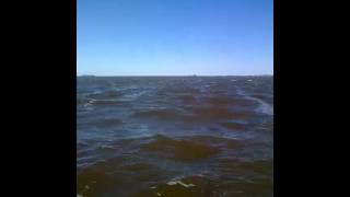 Laguna el toro, Carlos tejedor. Bs. As.