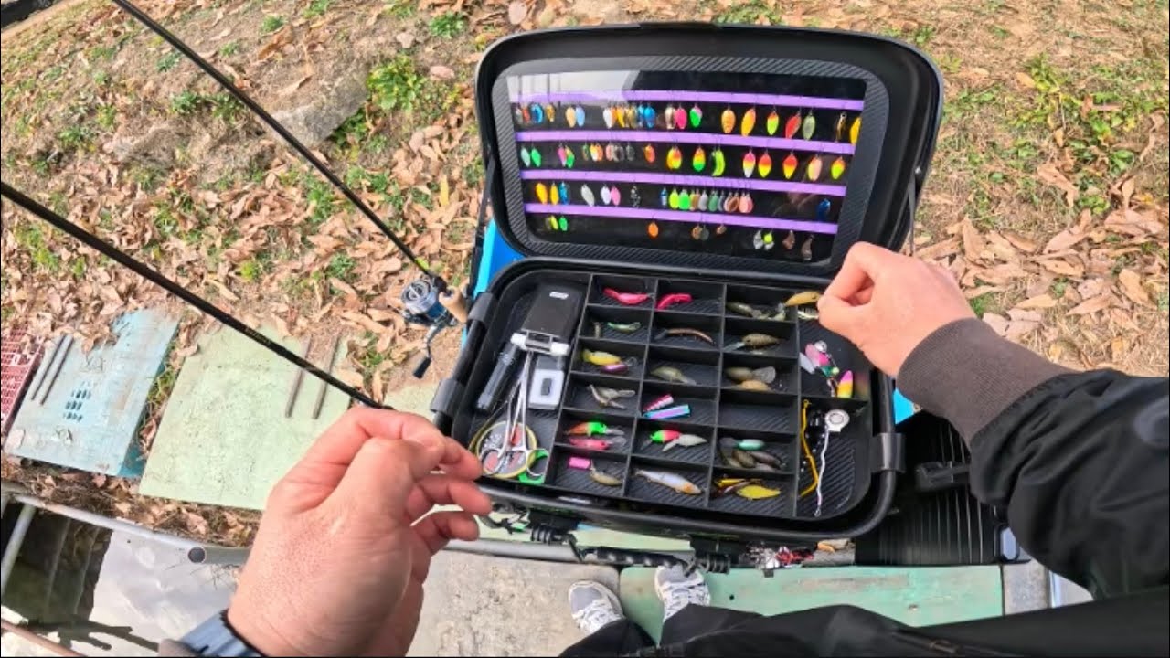 신기지 송어낚시 탑워터 잘때려주는 송어들!!! (25년 11월 11일)