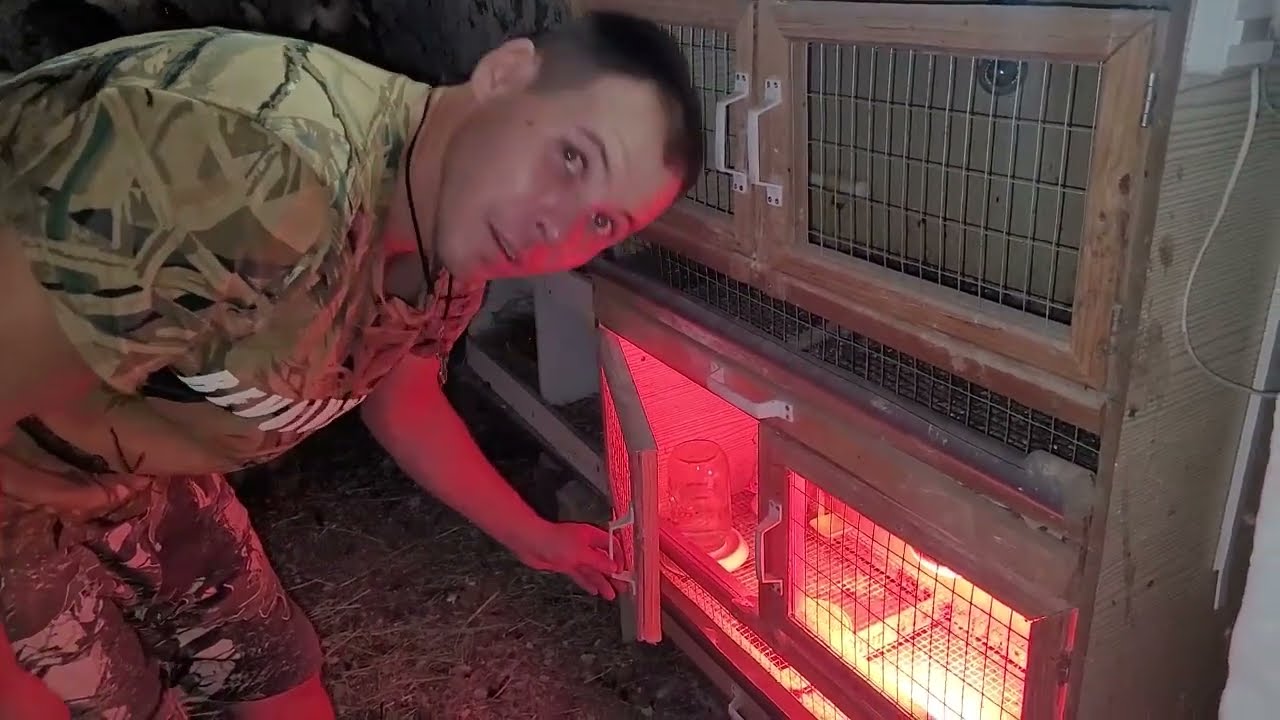 Переехали на Юг Если бы мы знали мы бежали бы с этого дома ! - YouTube