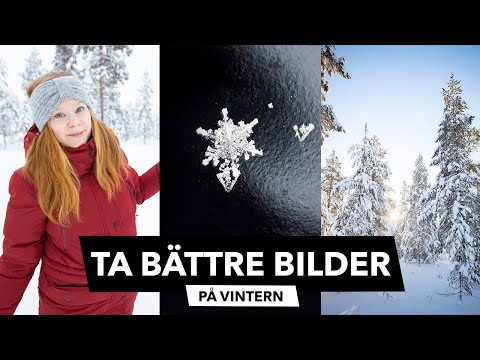 Video: Hur Man Läser Den Förlovade I Snön