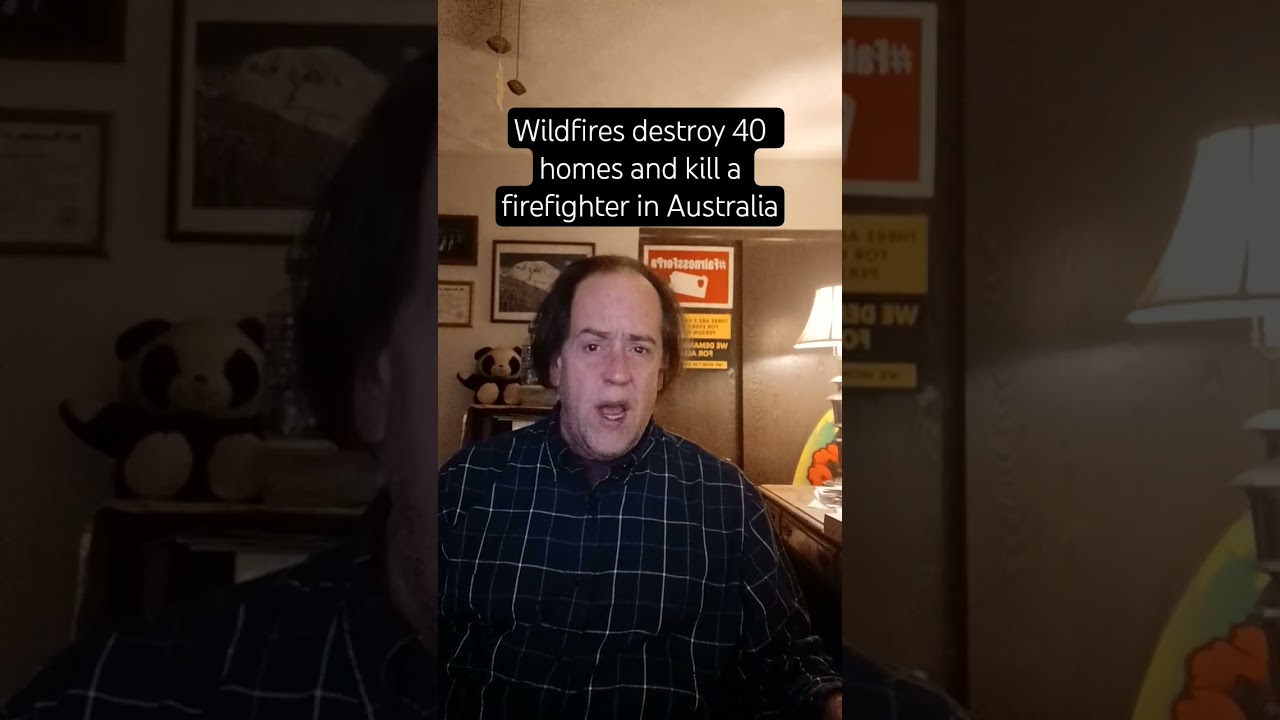 Лесные пожары уничтожили 40 домов и убили пожарного в Австралии