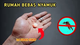Cukup pakai cairan ini, NYAMUK langsung PERGI selamanya !!