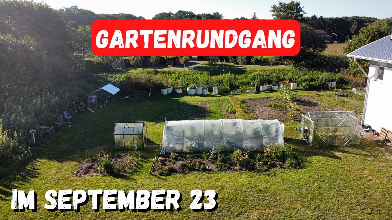 Gartenrundgang September Gemüsegarten, Stauden, Hochbeete, Hühner 🐓🧑🏻