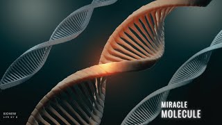 Decoding Lifes Blueprint The Fascinating World Of Dna