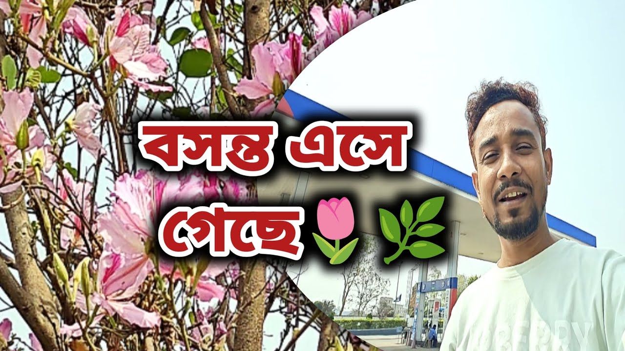 আজ সত্যি মনে হচ্ছে বসন্ত এসে গেছে 🌷🌿 | nature vlog 