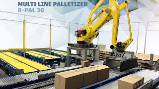 Robotic Palletizer R-PAL 30 for 3 lines