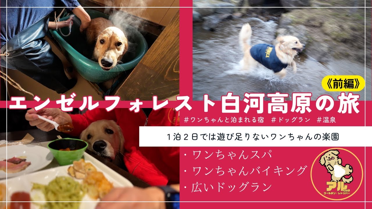【愛犬と行くお泊まり旅】エンゼルフォレスト白河高原はワンちゃんの楽園だった！（前編）