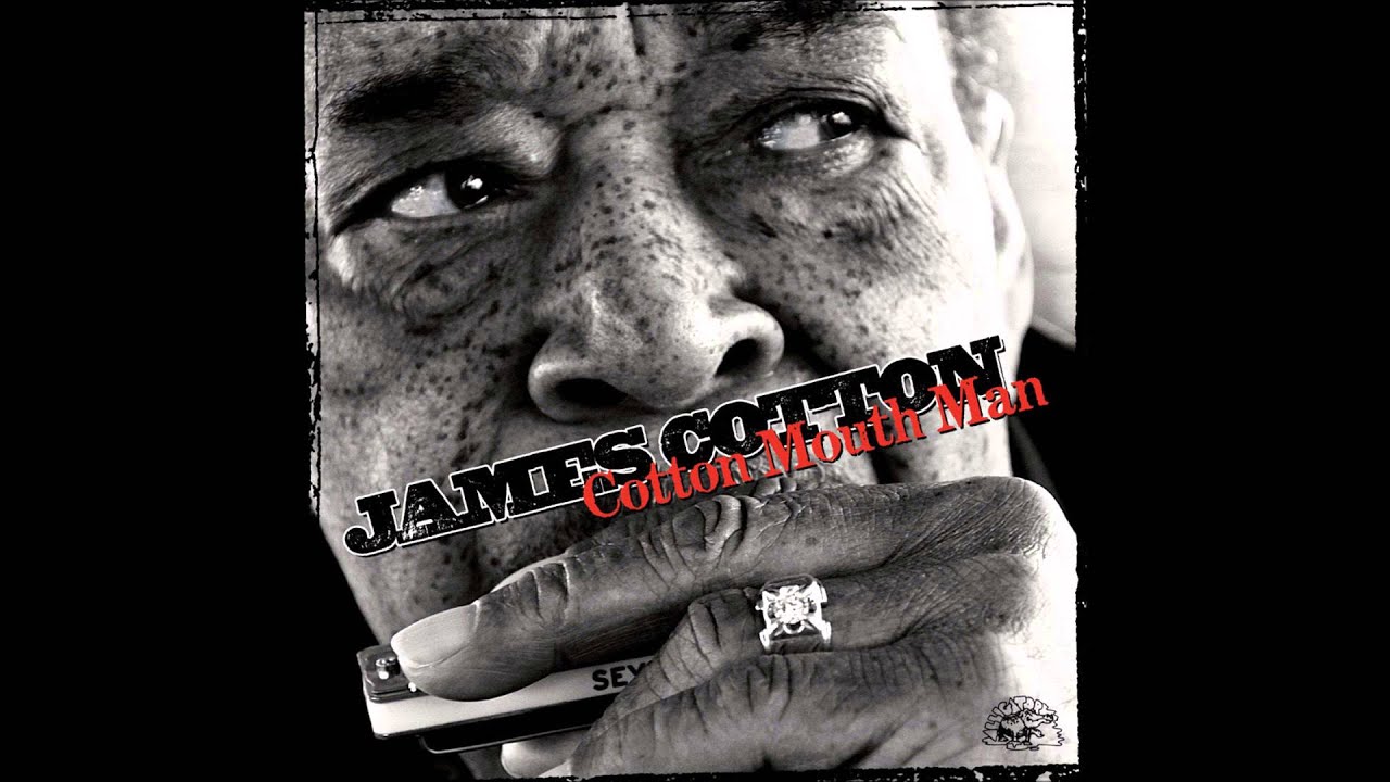 ジェイムズ・コットン James Cotton / ラジカル・ビスケット