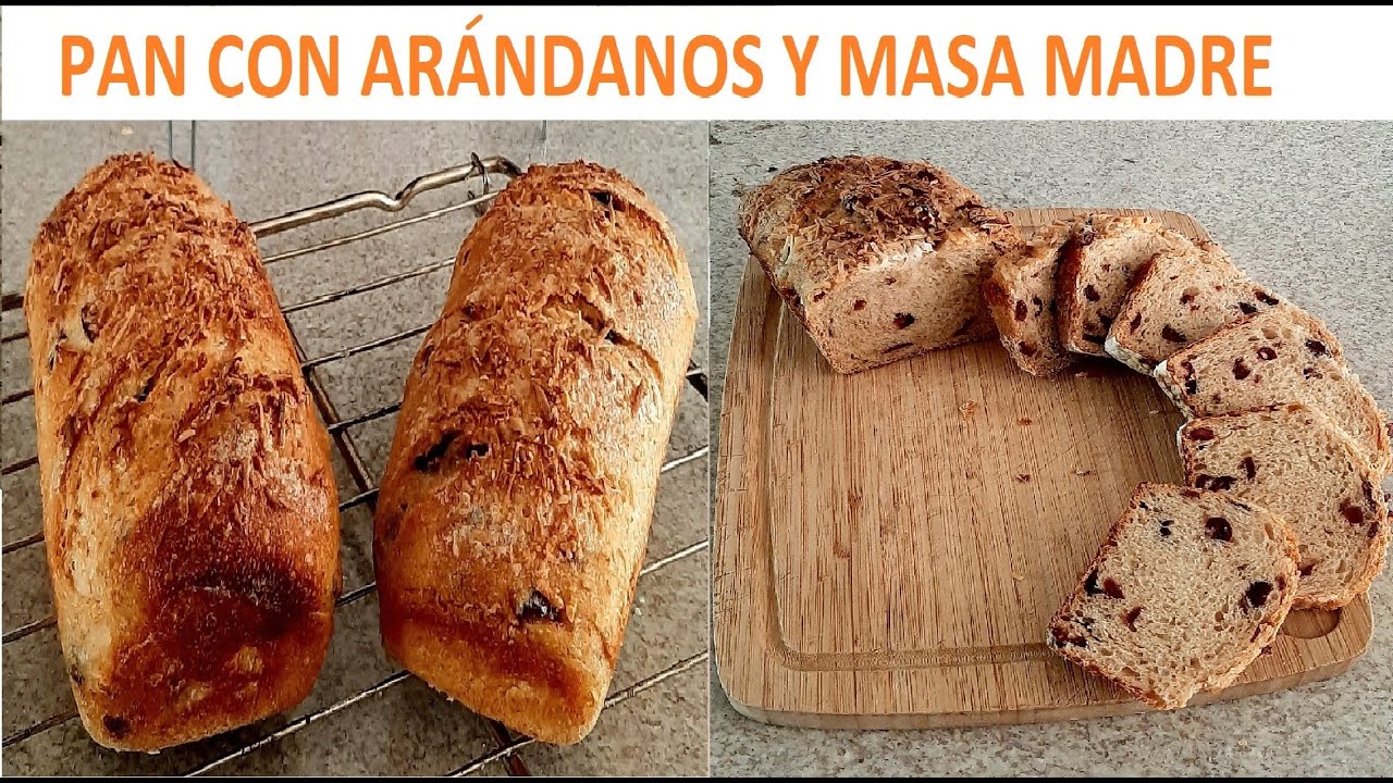 Pan con Arándanos Masa Madre Casero