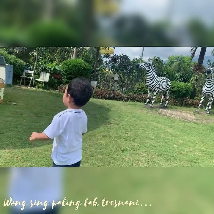 Short vid - Pingal GYWTN