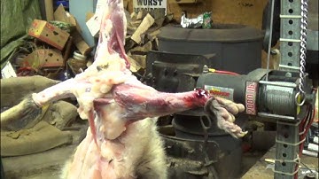 Professional Fur Handling: Opossum. Part 1- Skinning