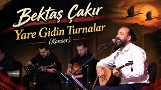 Yare Gidin Turnalar (Konser)