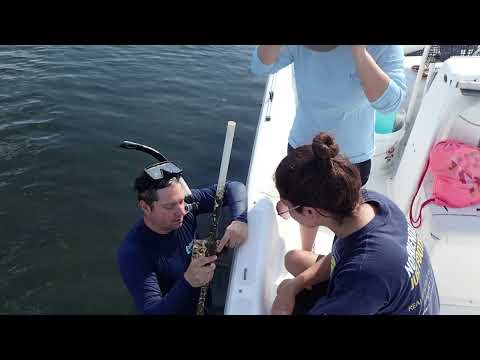 How Man-made Structures Impact Coastal Oceans, Dean Janiak, Biologist, MarineGEO