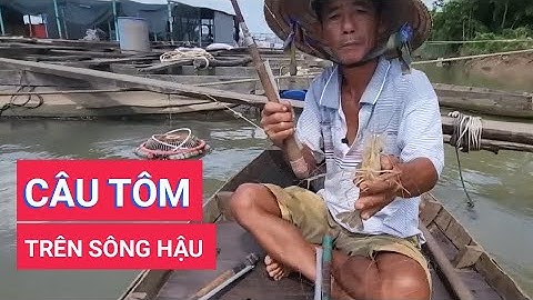 Cần thủ câu tôm trên sông Hậu đầu năm