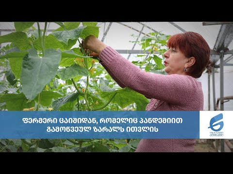 ფერმერი ცაიშიდან, რომელიც პანდემიით გამოწვეულ ზარალს ითვლის