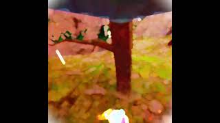 Way too good for him #gorillatag #gorillatagstream #livestreams #gtag #vrlivestream #livetv