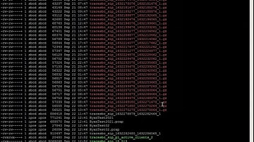 Sample Capture SIP Stream from Avaya SBC Global Session ID