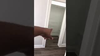 3939 deal st apt 2R video tour