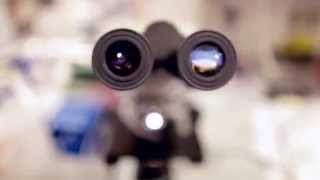 Cancer Research UK: Jason Carroll